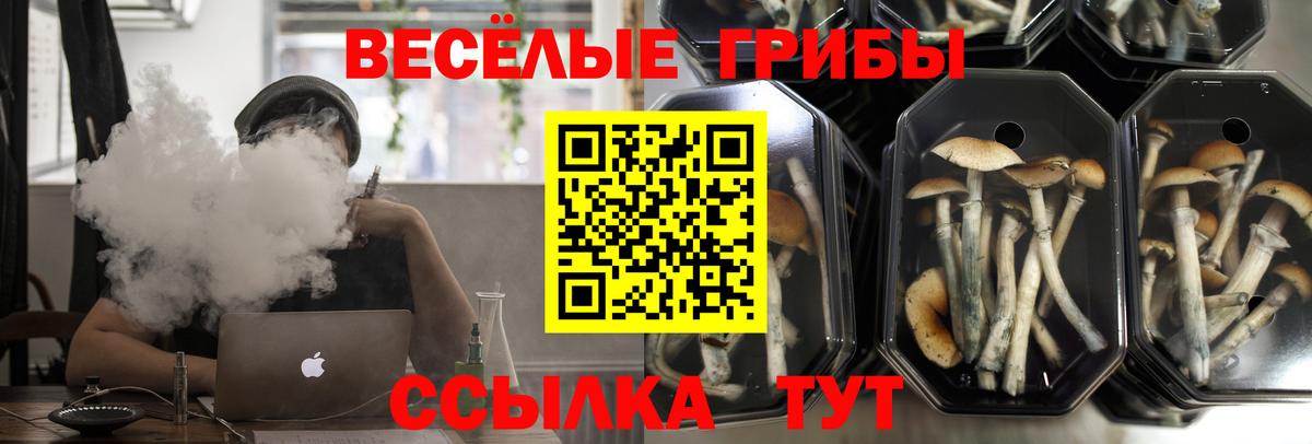 Псилоцибиновые грибы Magic Shrooms  Псилоцибиновые грибы Cubensis  Вход с VPN  Гурьевск 